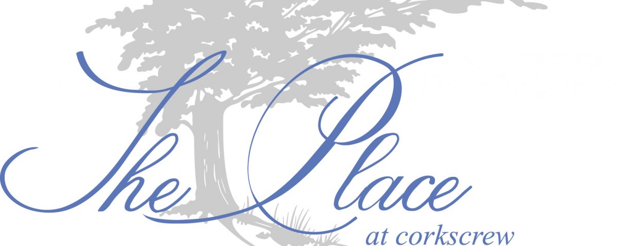 The_Place logo