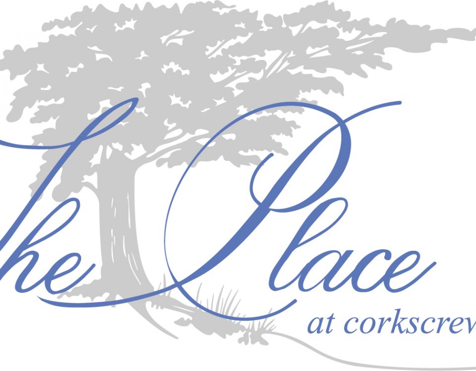 The_Place logo