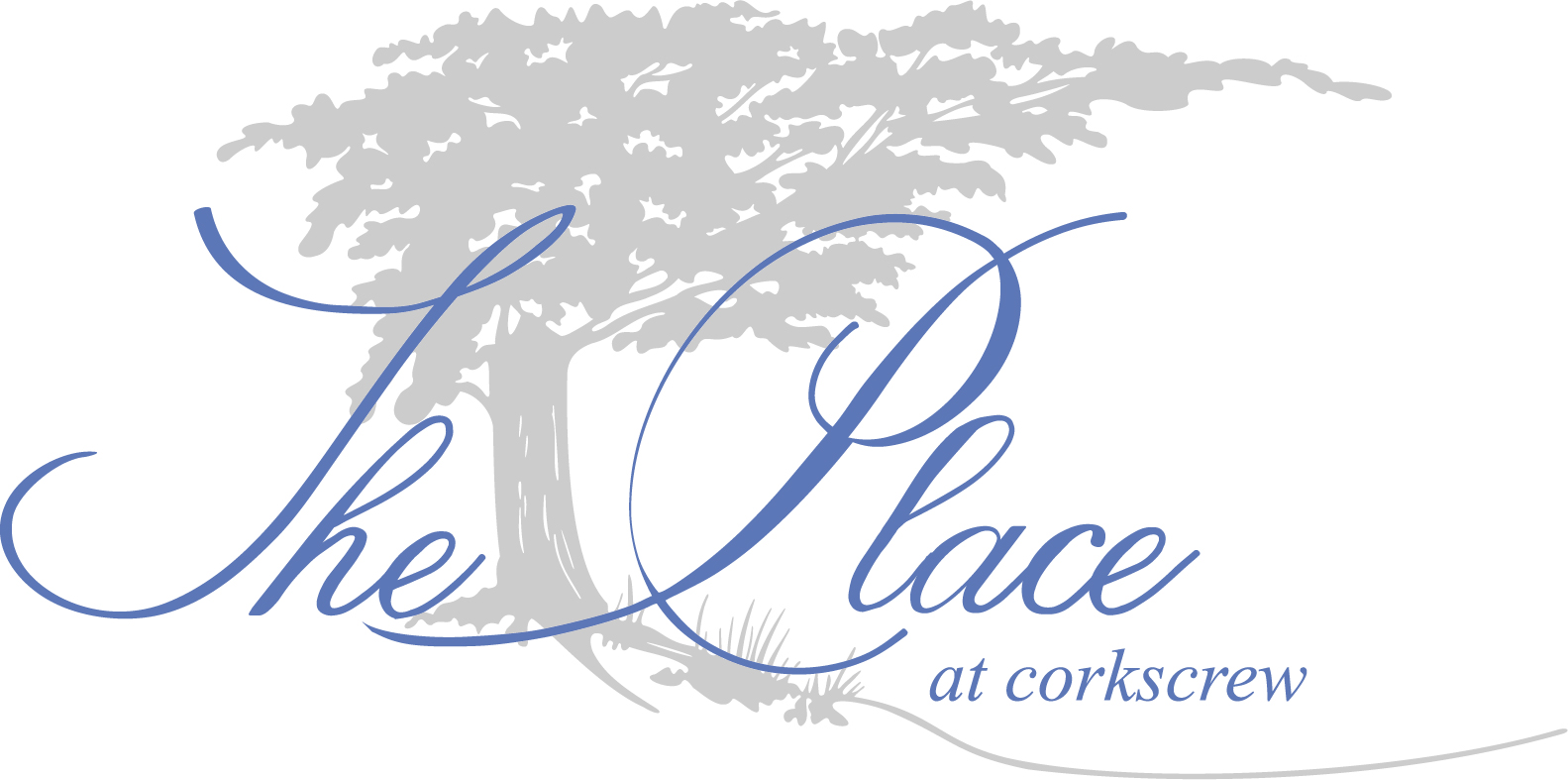 The_Place logo