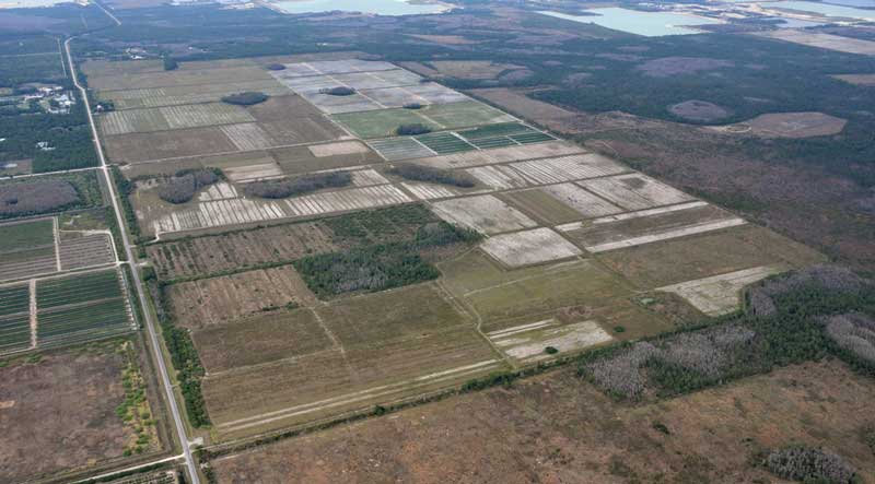 aerial view of land in southwest florida
