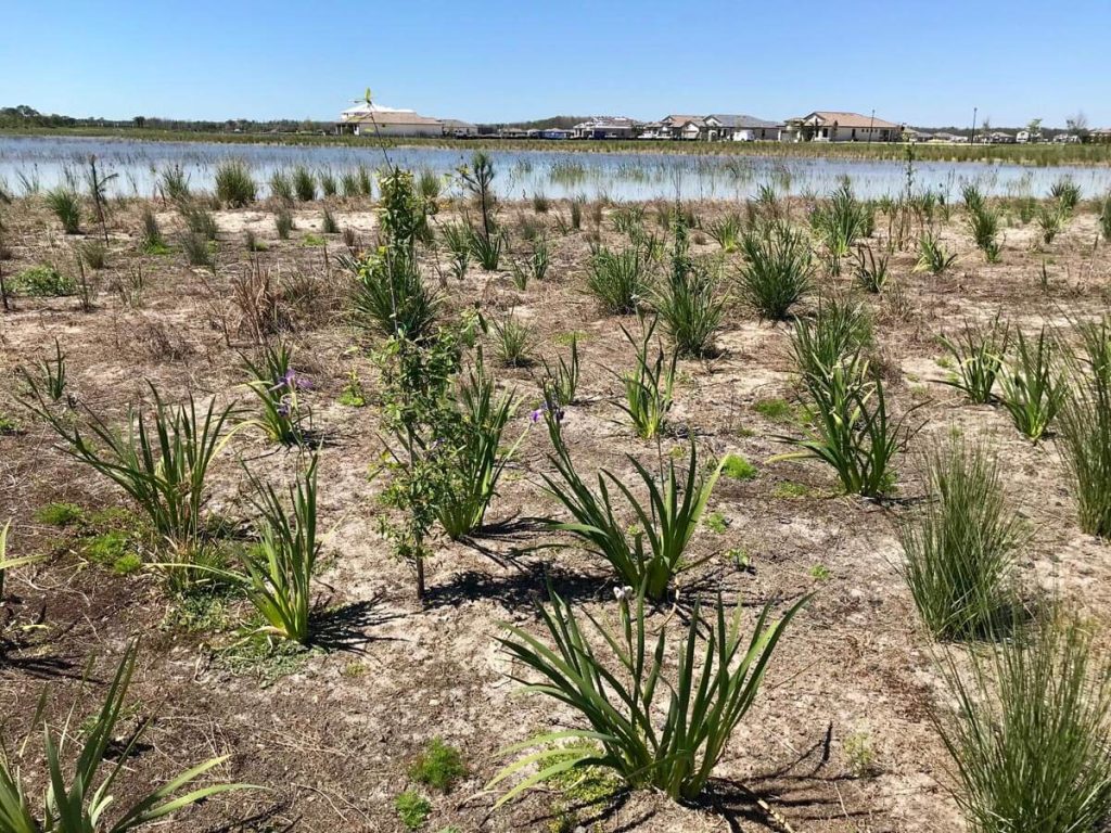conservation & environmental approvals