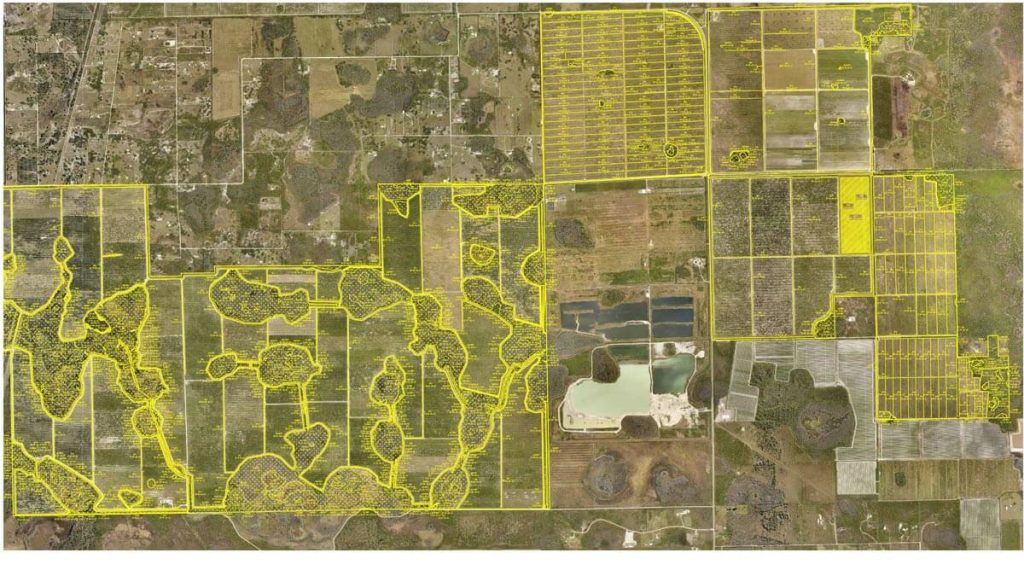 restoration planning
